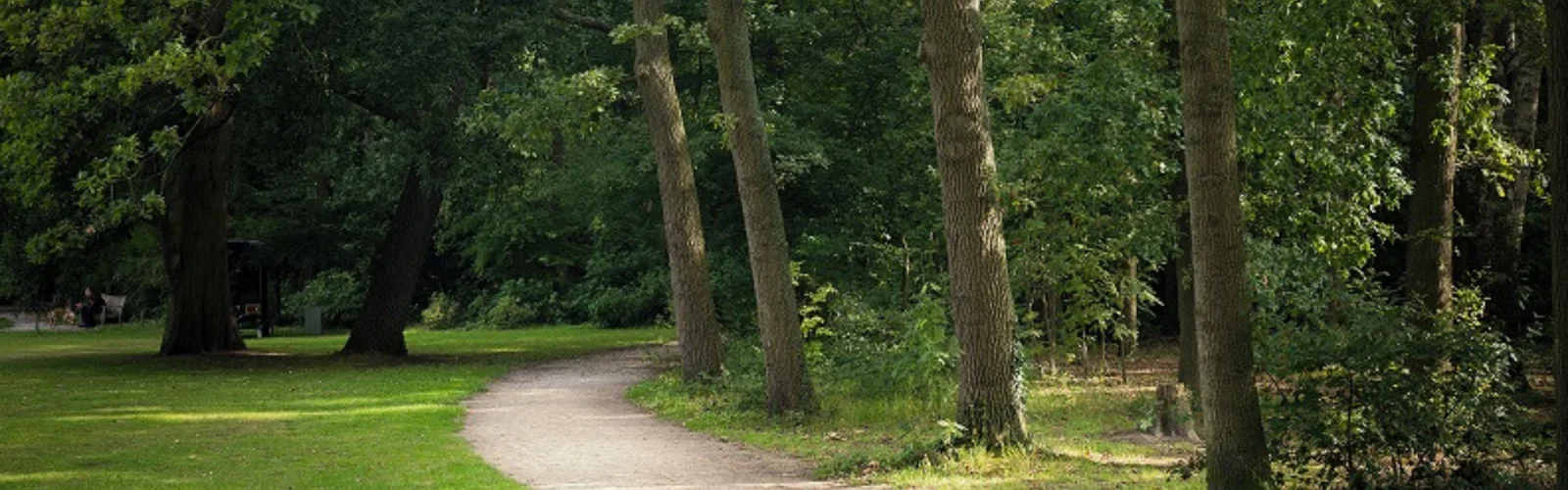 Het bos van Landgoed Oud Poelgeest
