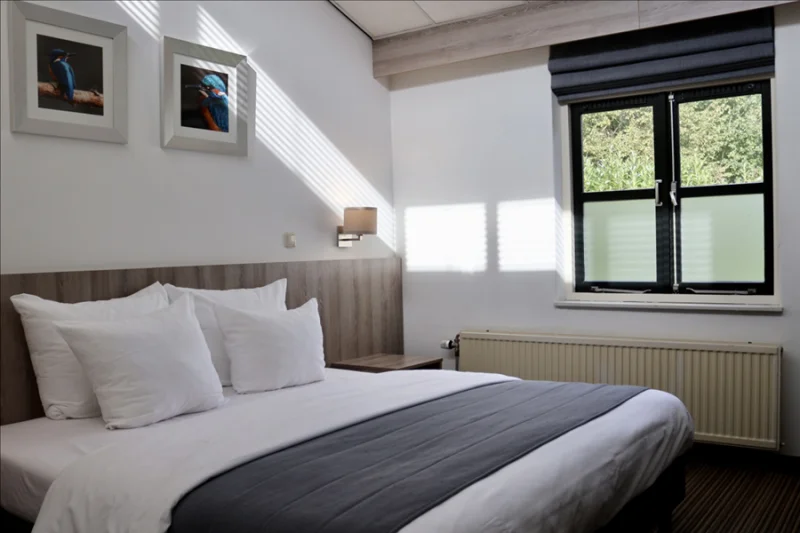 Standardzimmer Double mit Doppelbett und Fenster ins Grüne